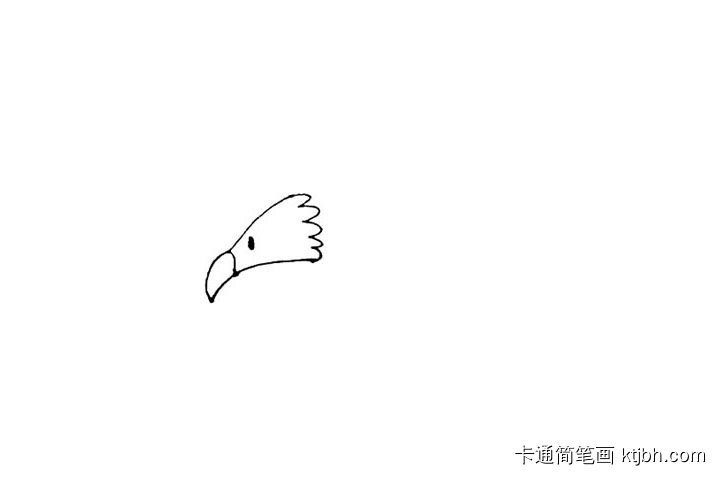 老鹰教程下载(老鹰教程下载中文版)