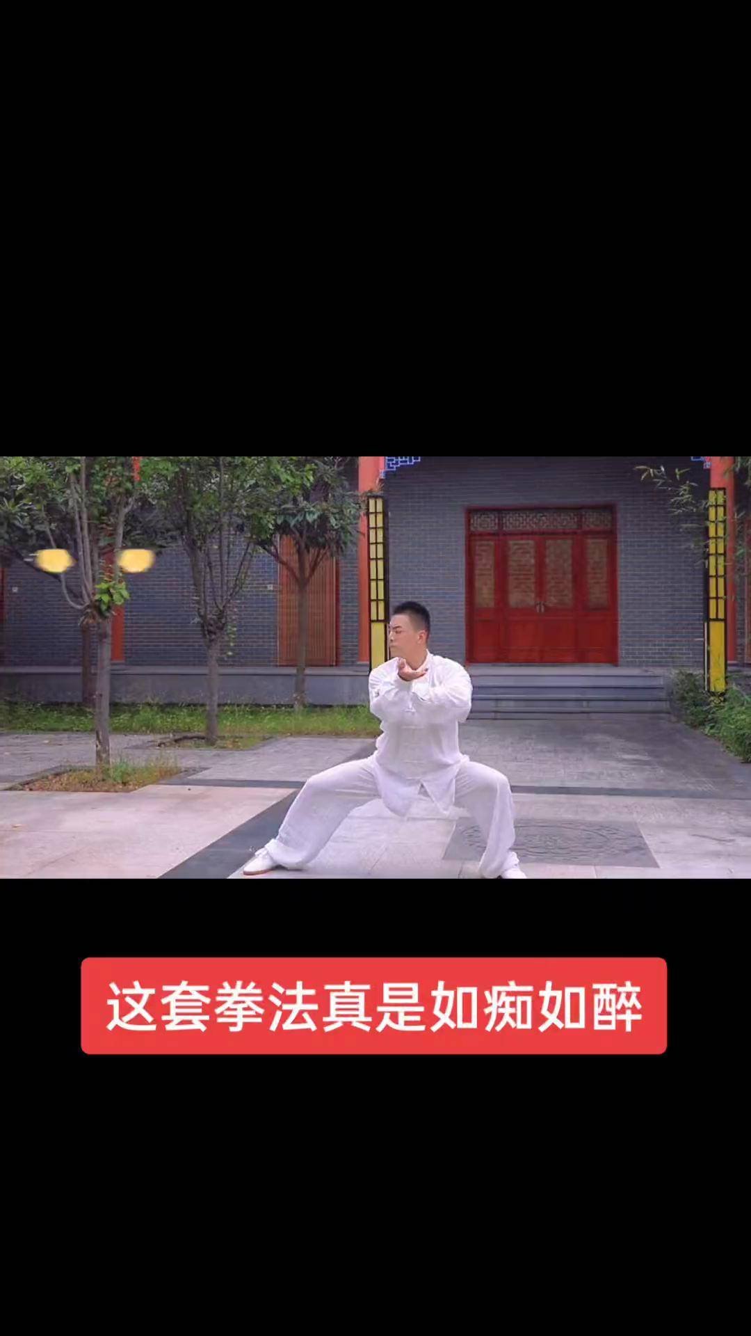 陈氏太极拳健身教程下载_陈氏太极拳健身教程下载安装
