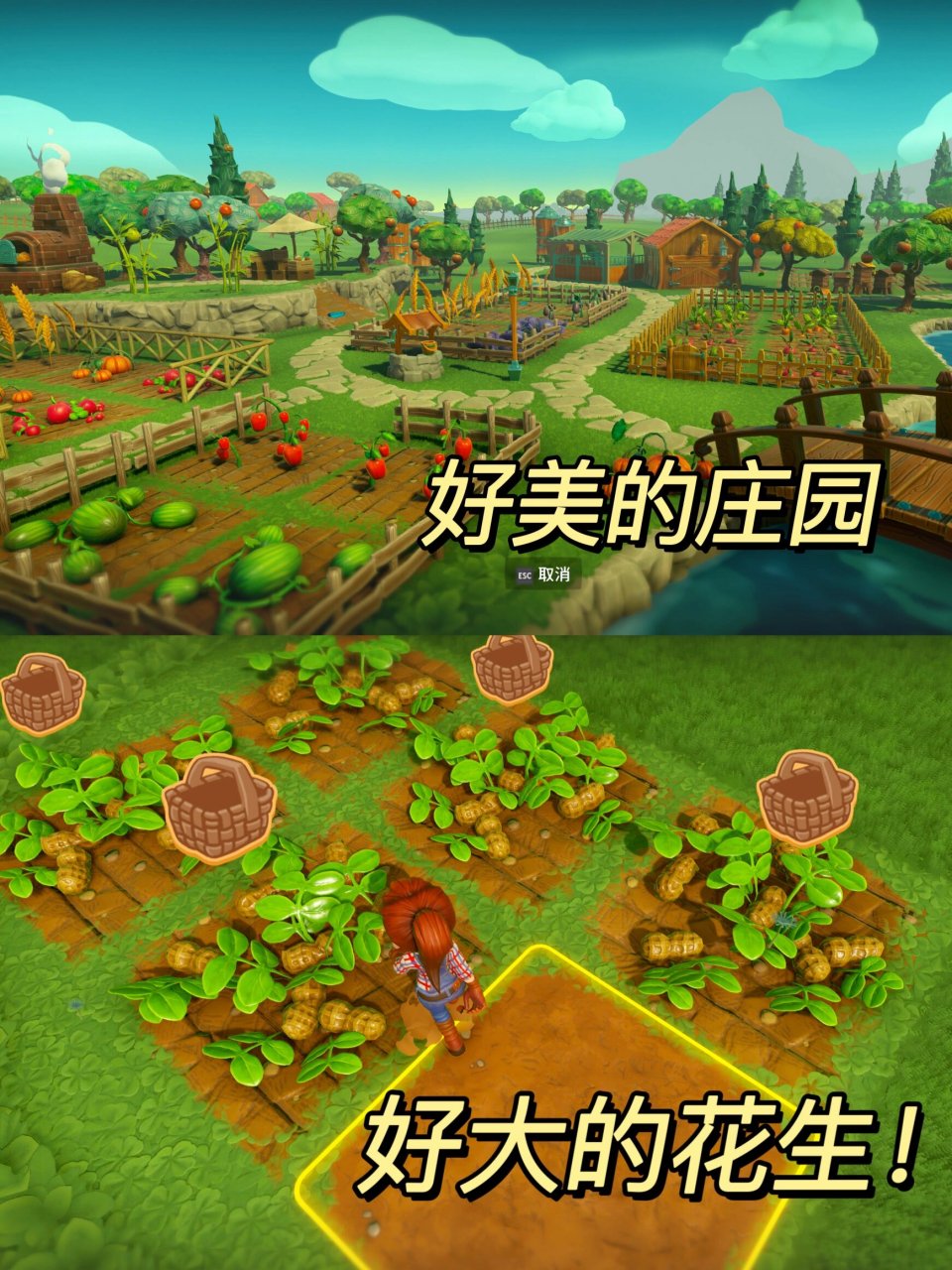 种菜游戏下载-(种菜游戏单机免费)