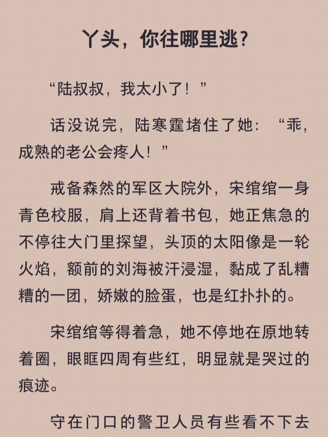 军婚小说下载-(军婚小说下载免费下载全本)