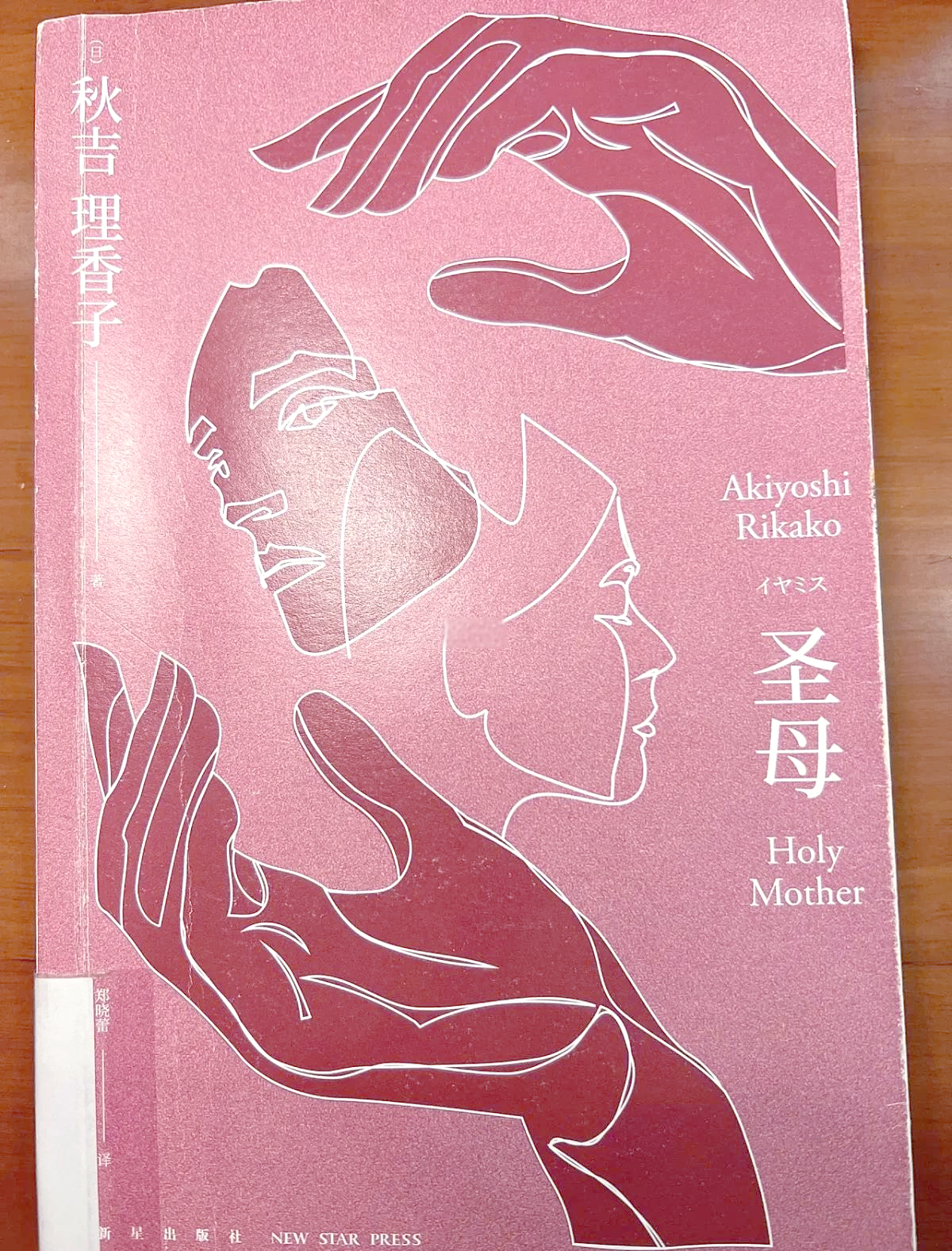 圣母在上小说下载-(圣母在上小说epub)