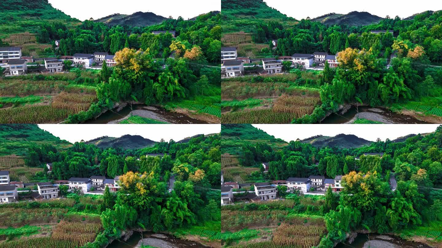 乡风农家视频素材下载_乡村风景视频素材无水印