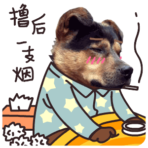 单身狗哥对唱视频下载_单身狗哥对唱视频下载安装