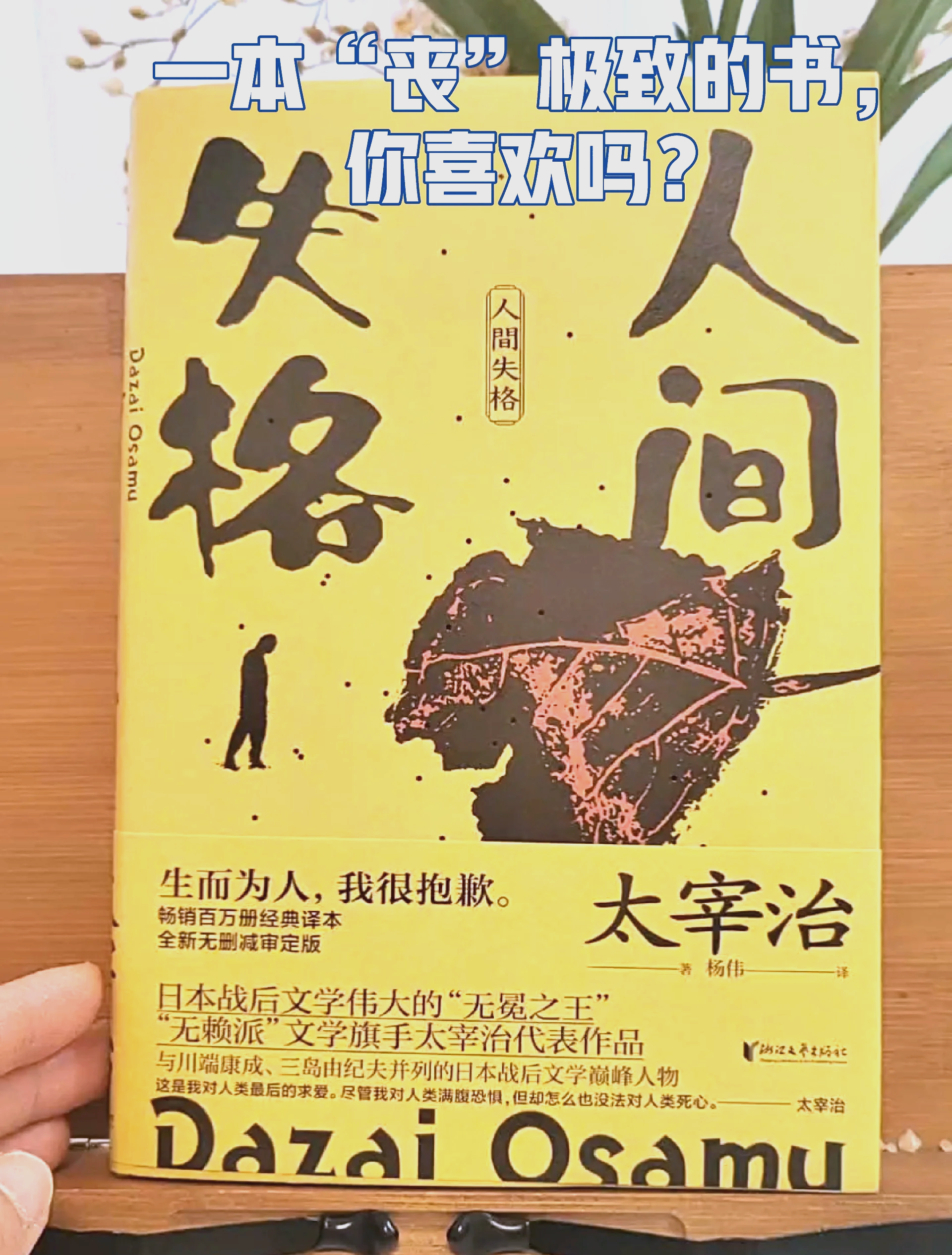 人间失格小说下载(人间失格完整版小说)